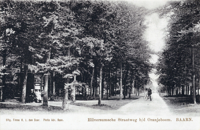 7330 Gezicht in de Hilversumsestraatweg te Baarn uit het westen.